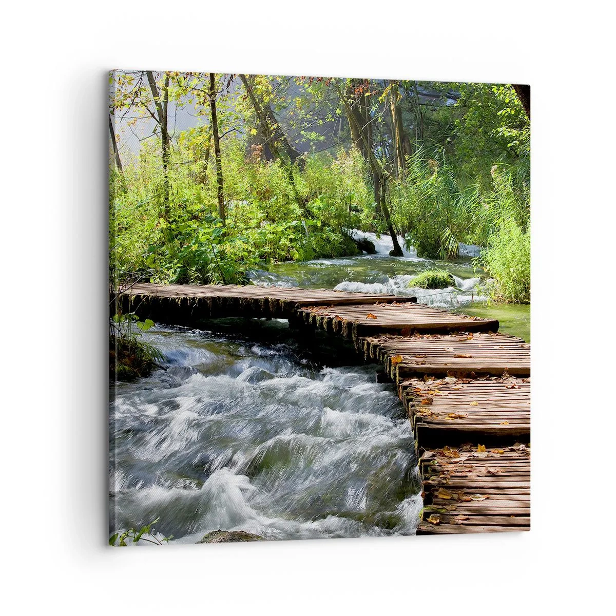 Impression sur toile - Image sur toile - Au-dessus de la cascade mousseuse - 60x60 cm