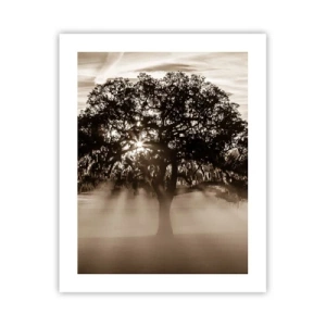 Affiche - Poster - Arbre de bonnes nouvelles - 40x50 cm