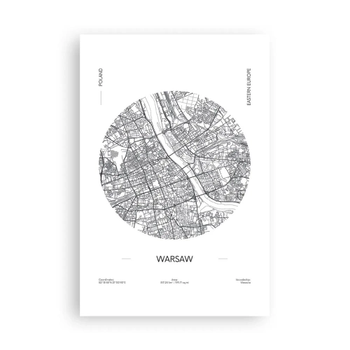 Affiche - Poster - Anatomie de Varsovie - 61x91 cm