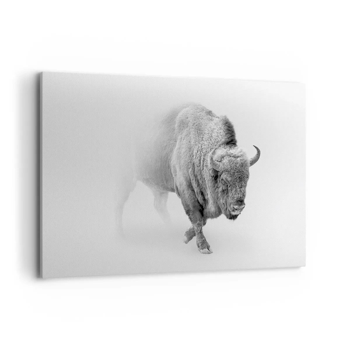 Impression sur toile - Image sur toile - Bison blanc dans un décor minimaliste - 120x80cm - Roi de la prairie - Décoration murale moderne pour le salon et la chambre ARTTOR