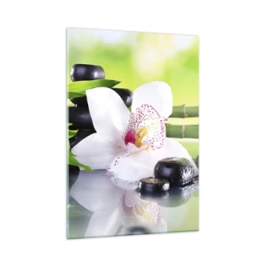 Impression sur verre - Image sur verre - Orchidée, bambou et pierres noires sur fond vert - 50x70cm - Raffraîchissement de fraîcheur - Décoration murale moderne pour le salon et la chambre ARTTOR