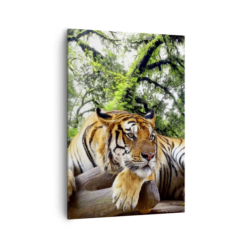 Impression sur toile - Image sur toile - Un tigre se reposant dans une forêt tropicale - 70x100cm - Cordialement - Décoration murale moderne pour le salon et la chambre ARTTOR