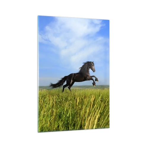 Impression sur verre - Image sur verre - Un cheval noir courant contre un ciel bleu et une prairie verte - 80x120cm - Un manifeste de liberté passionnant - Décoration murale moderne pour le salon et la chambre ARTTOR