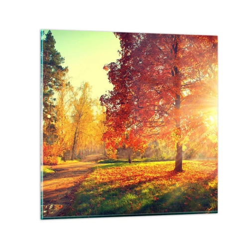 Impression sur verre - Image sur verre - Le roux est beau - 30x30 cm