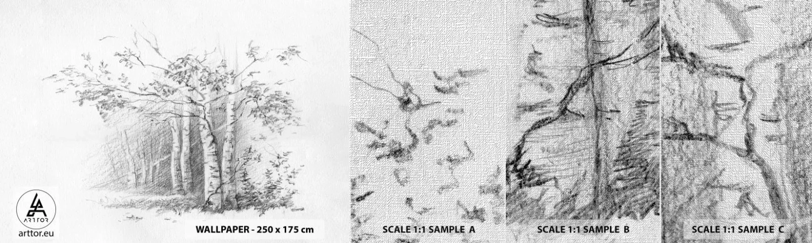 Échantillon de Papier Peint Premium Canvas - Lumière d'une forêt de bouleaux - Forêt, Bouleau, Des arbres - 100x30 cm