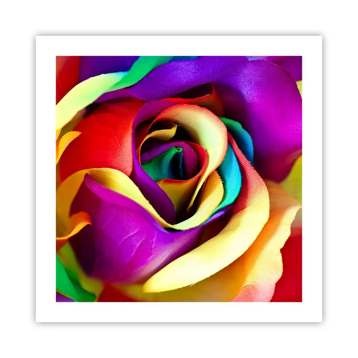 Affiche - Poster - Ce n'est pas possible - 50x50 cm