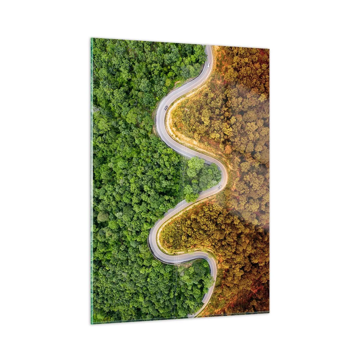 Impression sur verre - Image sur verre - Une route sinueuse à travers une forêt dense vue à vol d'oiseau - 50x70cm - Frontieres et differences - Décoration murale moderne pour le salon et la chambre ARTTOR