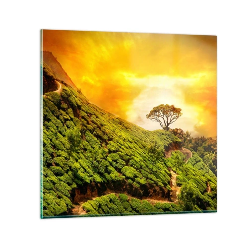 Impression sur verre - Image sur verre - Un chemin sinueux, une pente verte - 40x40 cm