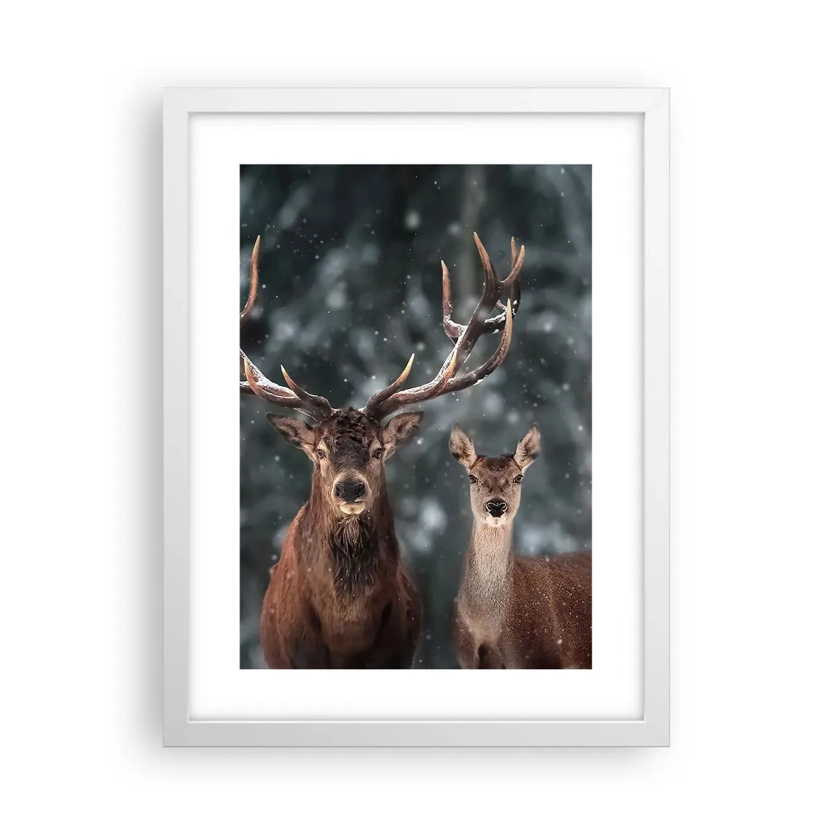 Affiche dans un cadre blanc - Poster - Le roi de la forêt avec sa femme - 30x40 cm