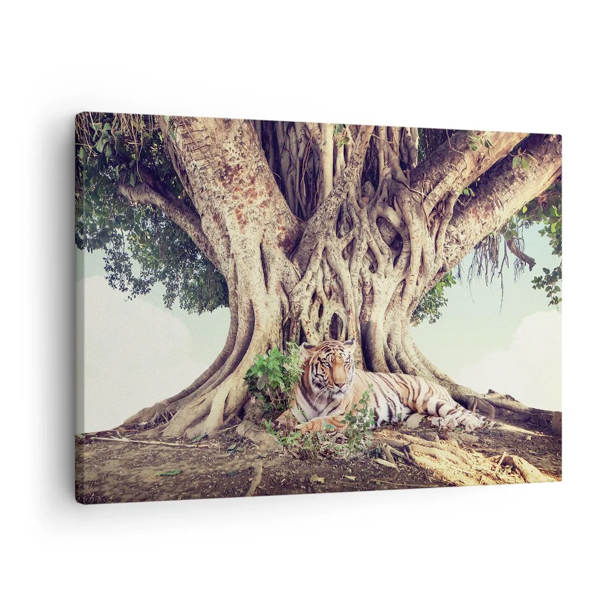 Impression sur toile - Image sur toile - Un tigre se reposant sous un arbre étendu - 70x50cm - Vue du Livre de la Genèse - Décoration murale moderne pour le salon et la chambre ARTTOR