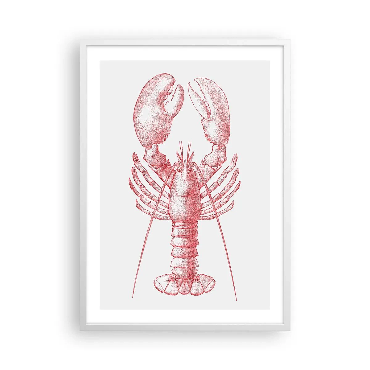 Affiche dans un cadre blanc - Poster - Un homard digne d'Homère - 50x70 cm