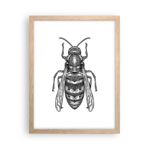 Affiche dans un chêne clair - Poster - D'une planète d'insectes - 30x40 cm