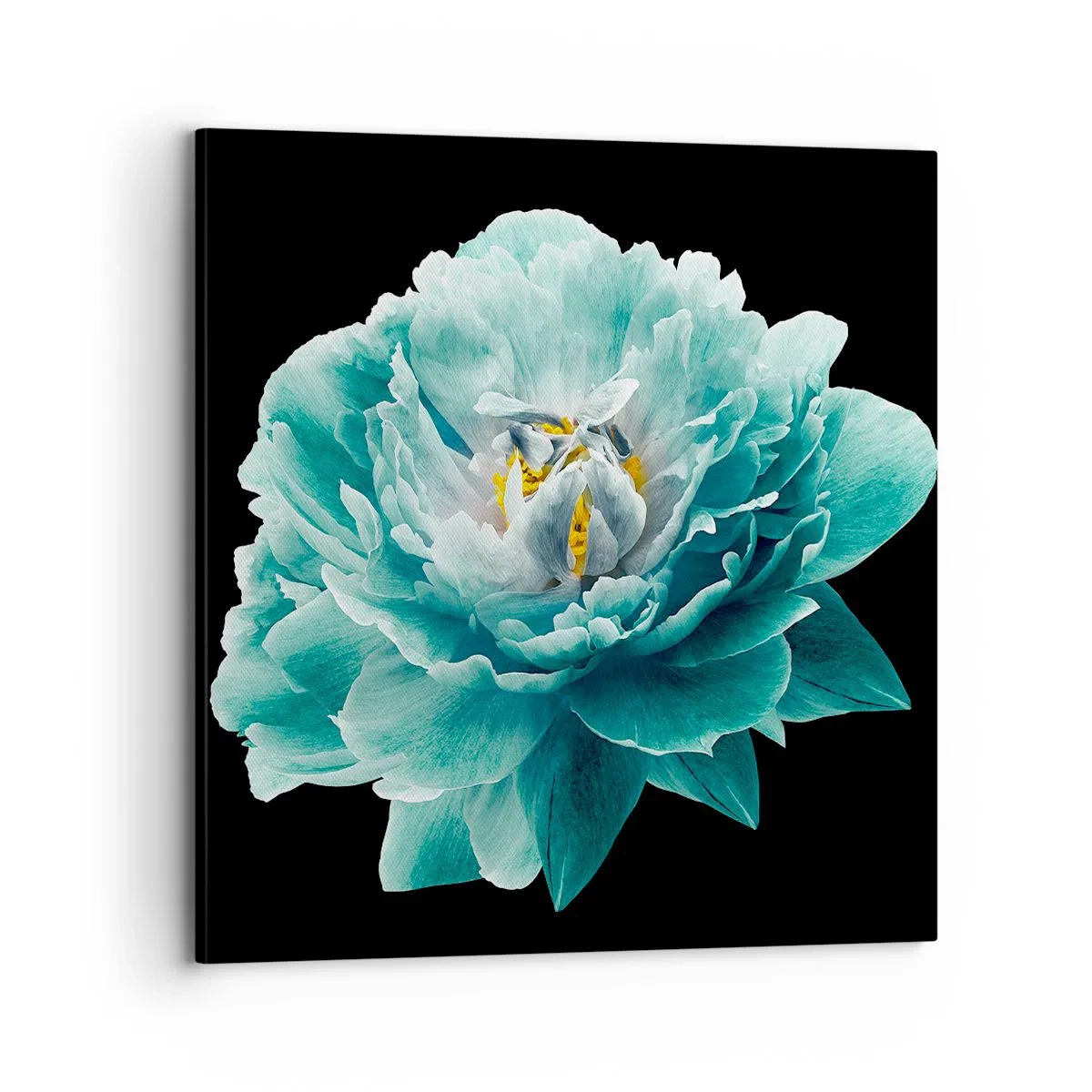 Impression sur toile - Image sur toile - Pétales bleus et dorés - 70x70 cm