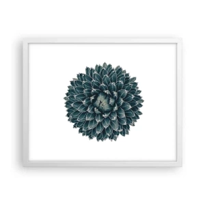 Affiche dans un cadre blanc - Poster - Étoile du désert - 50x40 cm