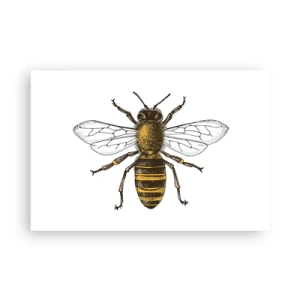 Affiche - Poster - Belle et bonne - 91x61 cm