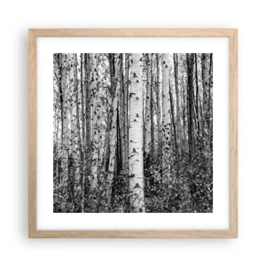 Affiche dans un chêne clair - Poster - Enchevêtrement de bouleau - 40x40 cm