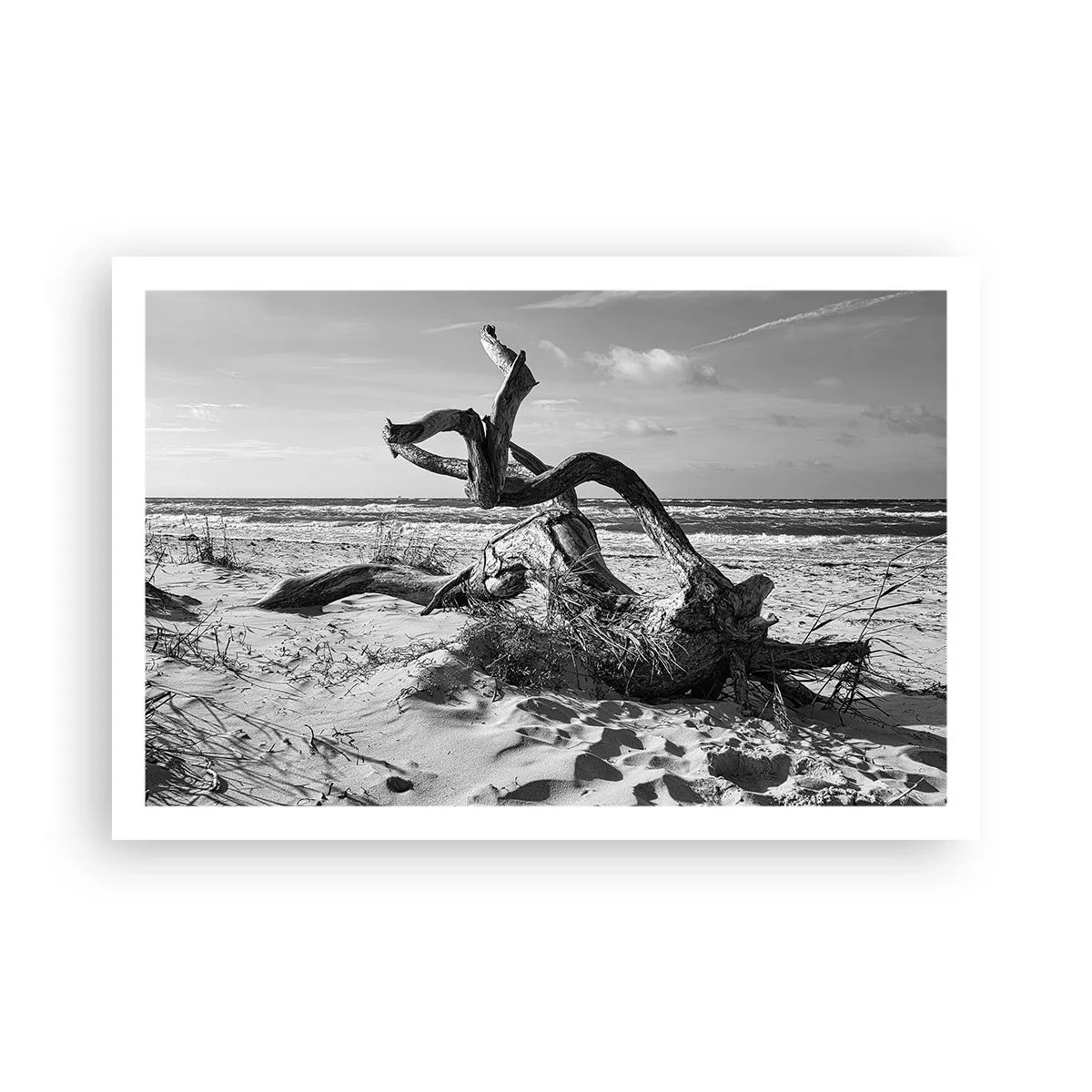 Affiche - Poster - Sculpture marine - 91x61 cm