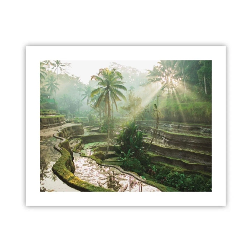 Affiche - Poster - Grandir au soleil - 50x40 cm