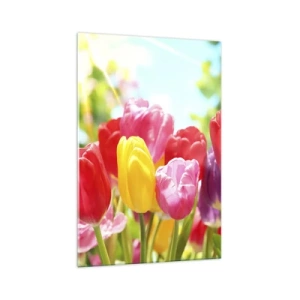 Impression sur verre - Image sur verre - Tulipes colorées en pleine floraison sur fond de printemps - 70x100cm - C'est nous, les couleurs de Mai! - Décoration murale moderne pour le salon et la chambre ARTTOR