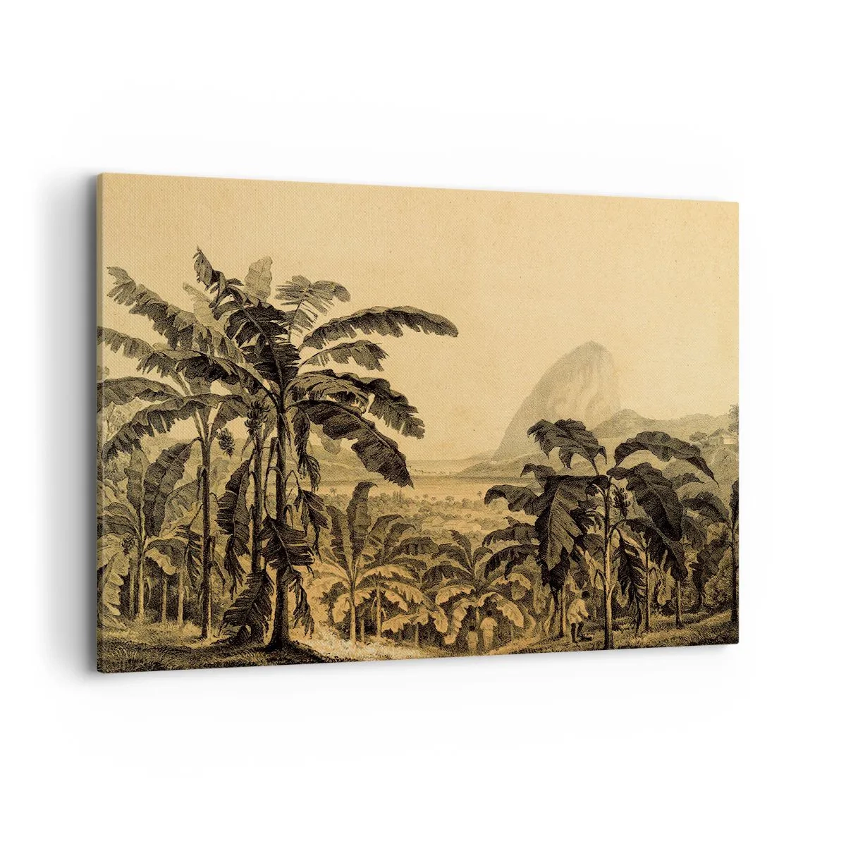 Impression sur toile - Image sur toile - Dessin de bananiers sur fond de paysage tropical - 100x70cm - Dans un climat colonial - Décoration murale moderne pour le salon et la chambre ARTTOR
