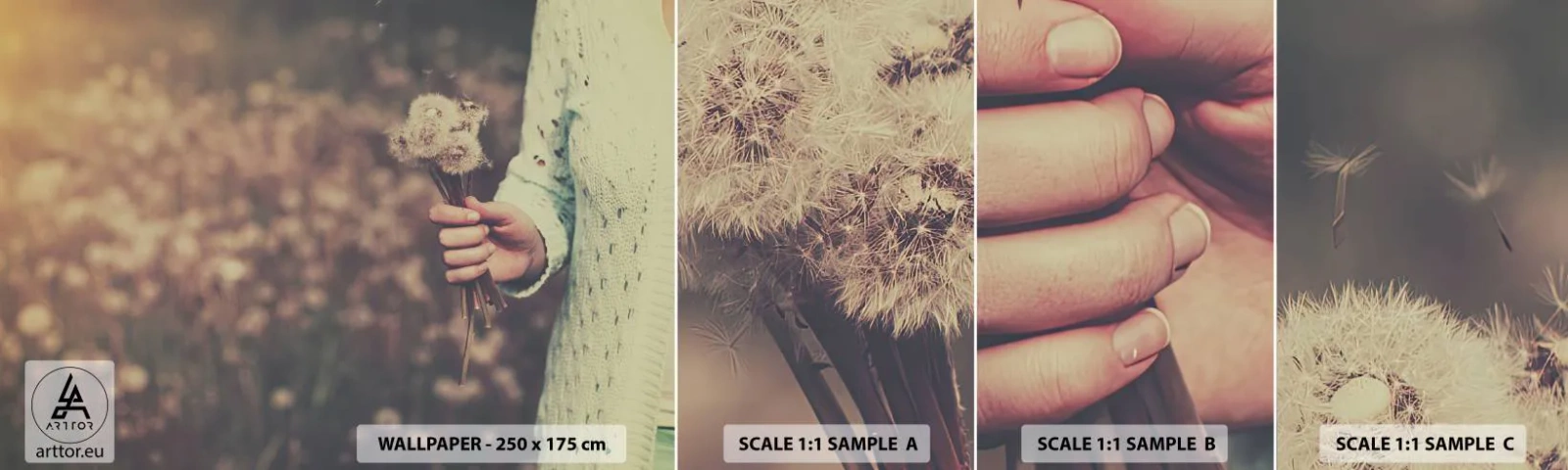 Échantillon De Papier Peint Standard Eco - Merci de les garder - Pissenlit, Prairie, Nature - 100x30 cm