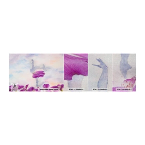 Échantillon de Papier Peint Premium Canvas - Délicat comme une fleur - Abstraction, Ballerine, Danse - 100x30 cm