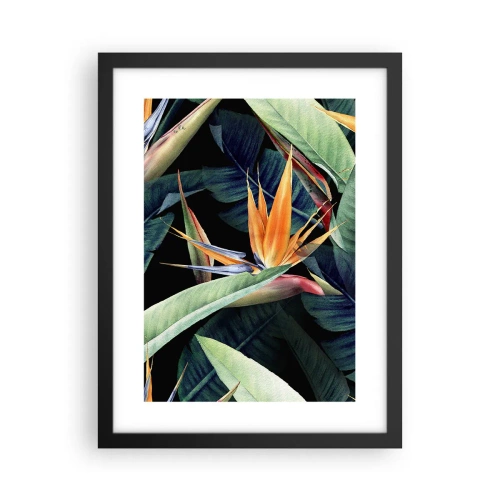 Affiche dans un cadre noir - Poster - Fleurs flamboyantes des tropiques - 30x40 cm