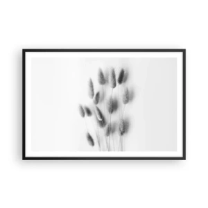 Affiche dans un cadre noir - Poster - Son herbe duveteuse - 91x61 cm