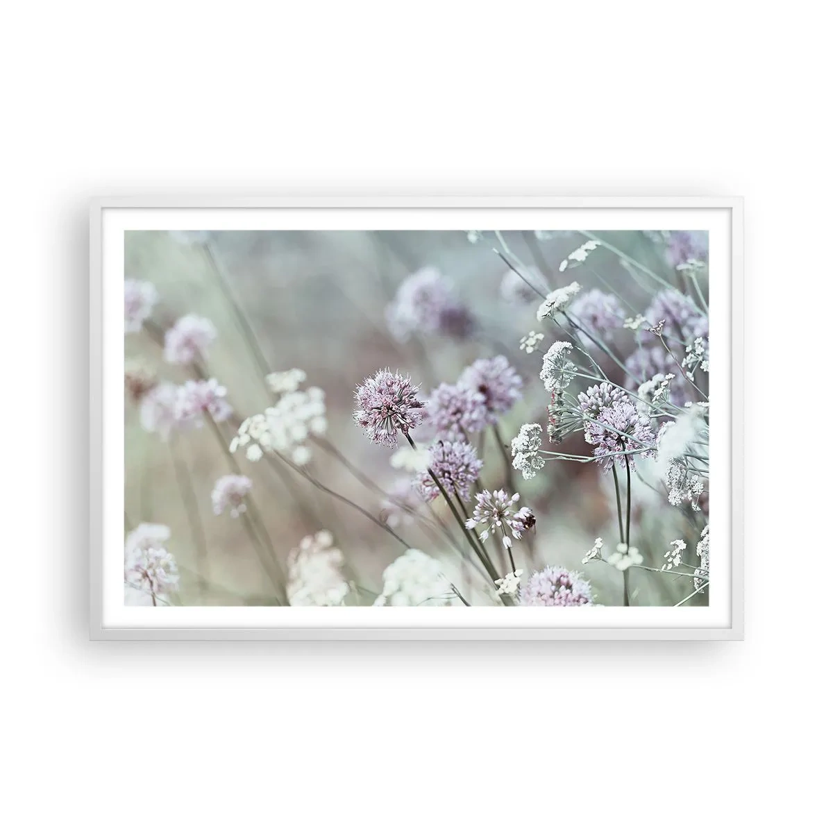 Affiche dans un cadre blanc - Poster - Herbes douces en filigrane - 91x61 cm