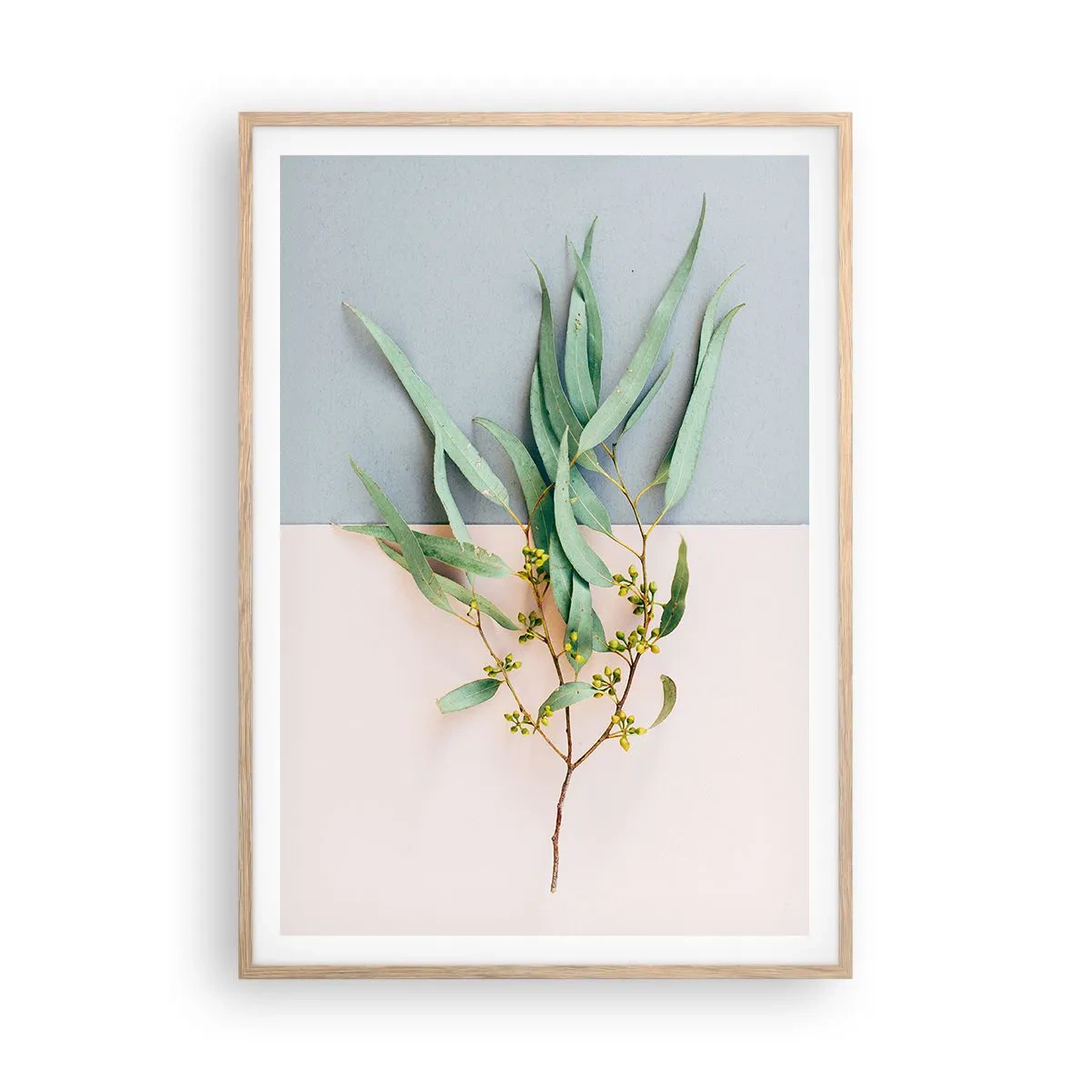 Affiche dans un chêne clair - Poster - Subtilité pastel - 70x100 cm