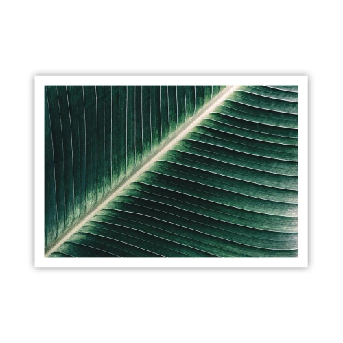 Affiche - Poster - Gros plan de la structure d'une feuille verte - 100x70cm - Le rythme de la nature - Décoration murale moderne pour le salon et la chambre ARTTOR