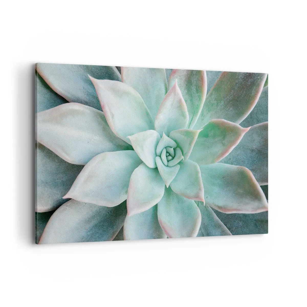 Impression sur toile - Image sur toile - Gros plan d'une succulente verte - 120x80cm - Le coeur du désert - Décoration murale moderne pour le salon et la chambre ARTTOR