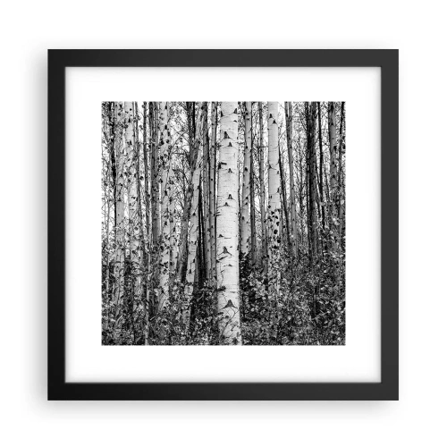 Affiche dans un cadre noir - Poster - Enchevêtrement de bouleau - 30x30 cm