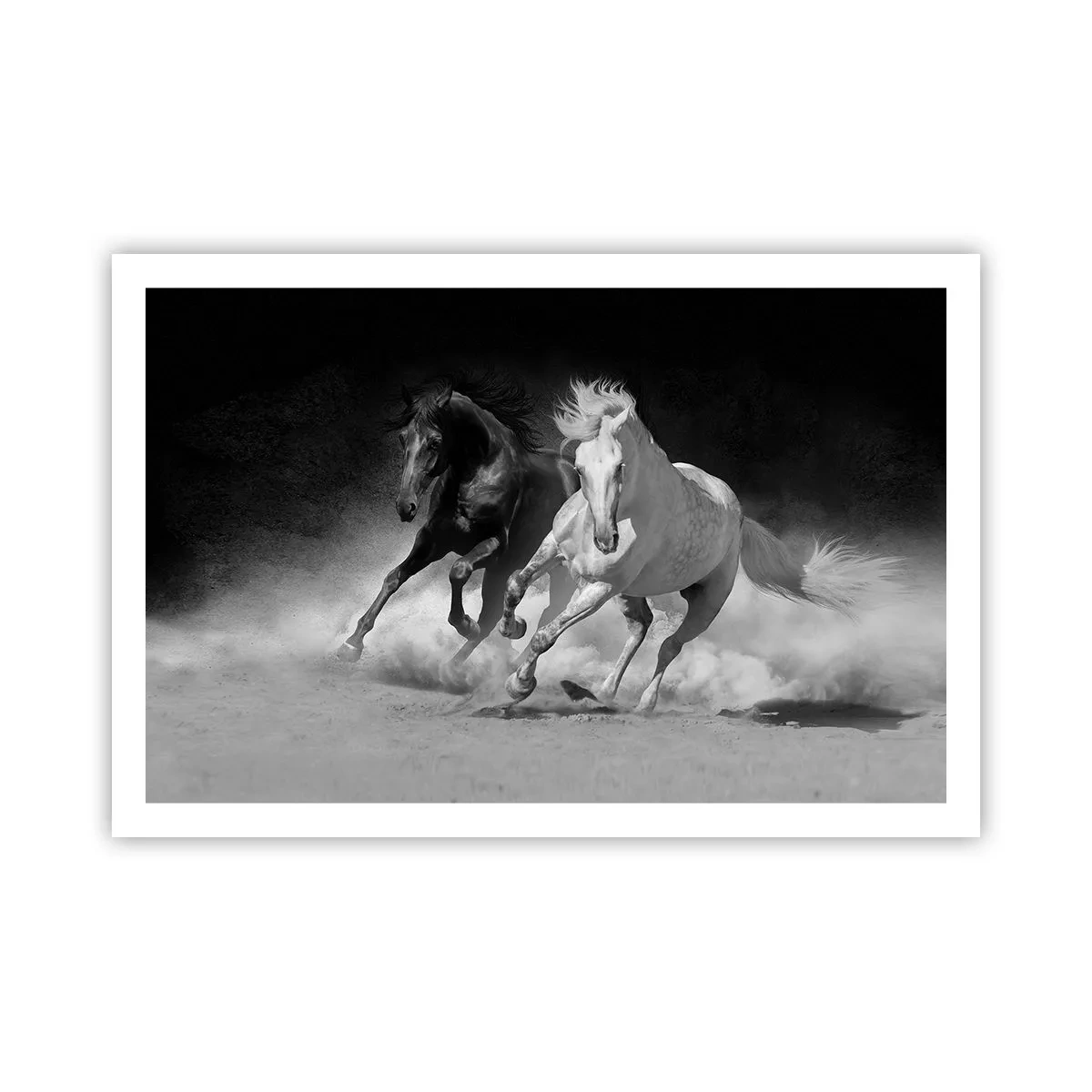 Affiche - Poster - Galop de la liberté - 91x61 cm