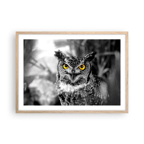 Affiche dans un chêne clair - Poster - Rien ne se cachera - 70x50 cm