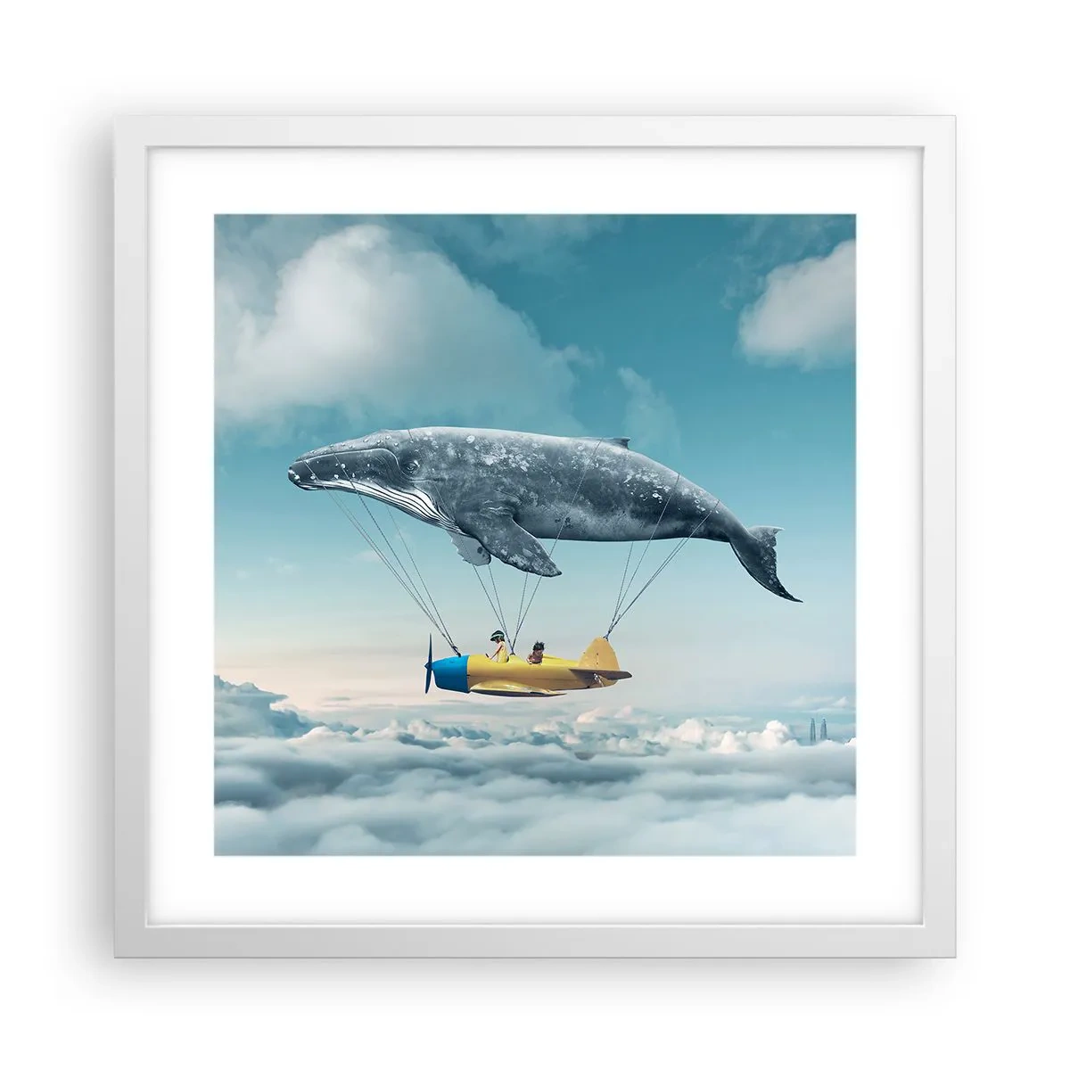 Affiche dans un cadre blanc - Poster - Pourquoi pas? - 40x40 cm