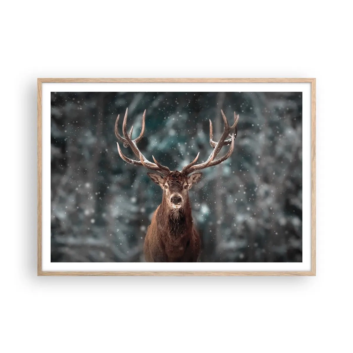 Affiche dans un chêne clair - Poster - Roi de la forêt couronné - 100x70 cm