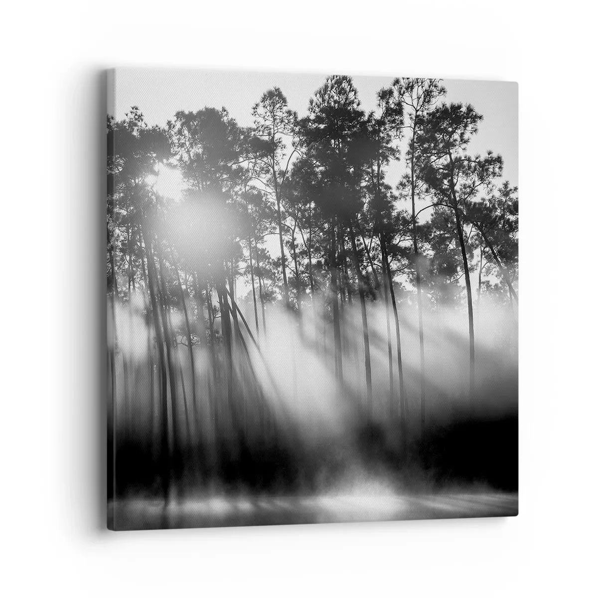 Impression sur toile - Image sur toile - Soleil inarrêtable - 40x40 cm