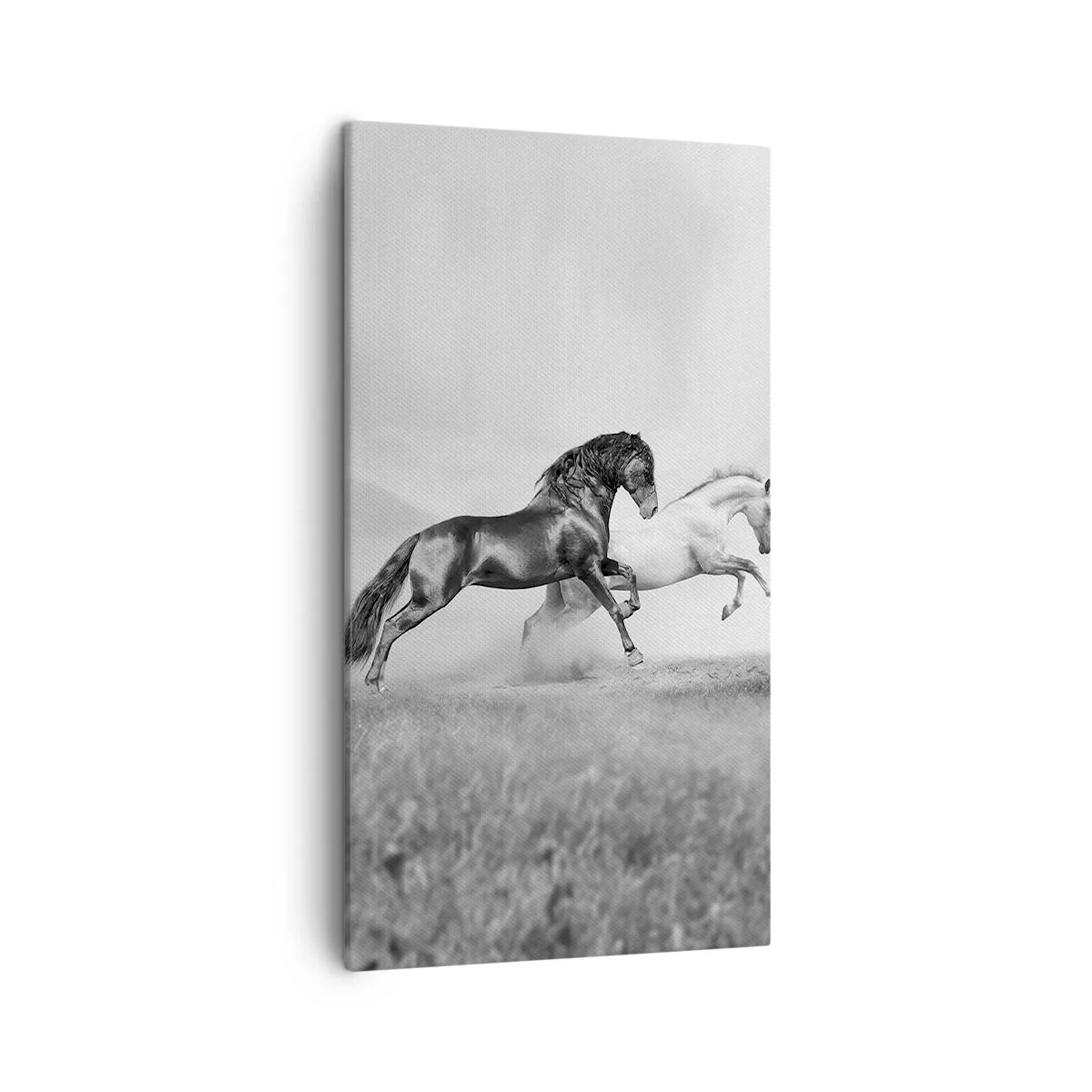 Impression sur toile - Image sur toile - Anges et démons - 45x80 cm