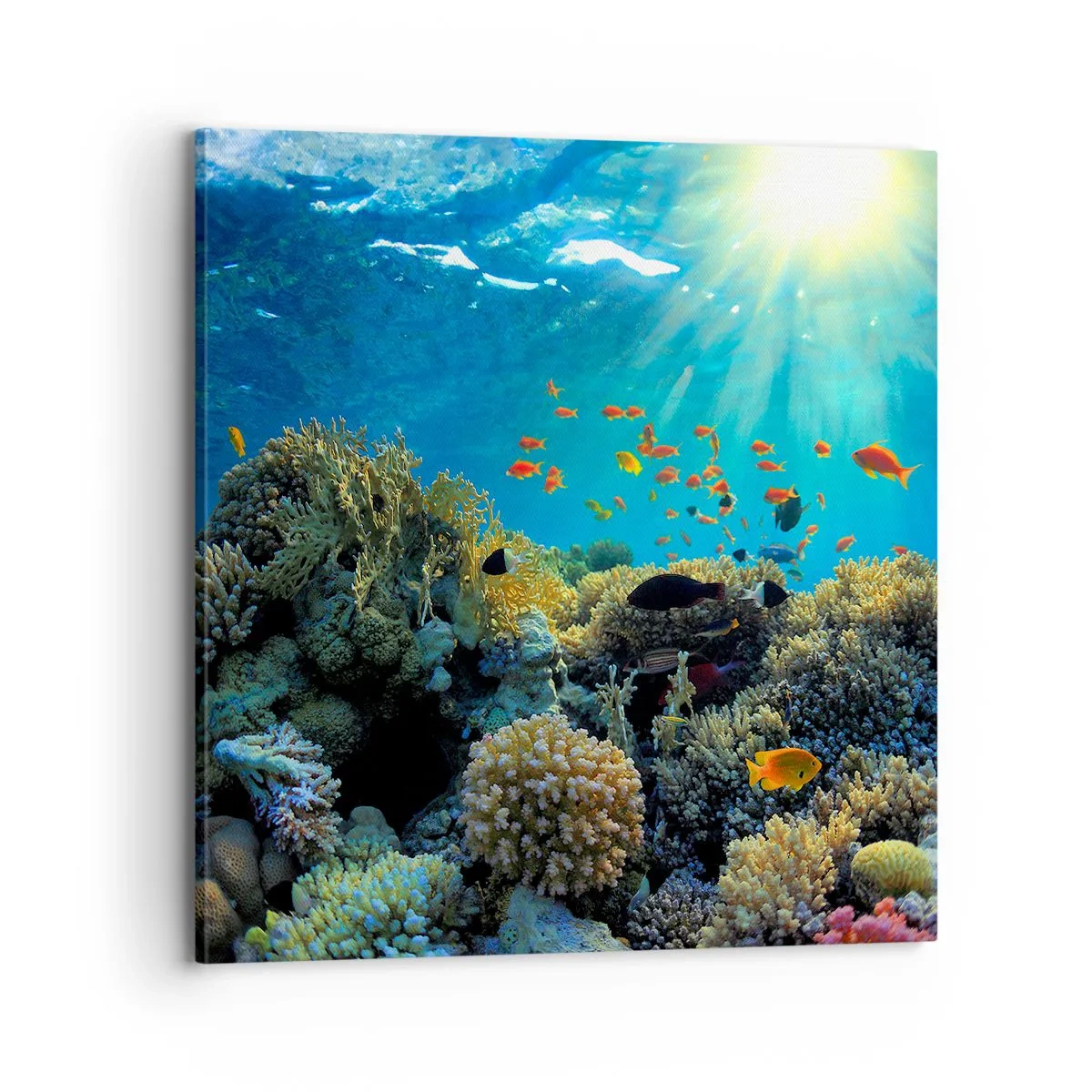 Impression sur toile - Image sur toile - Trésor sous-marin - 70x70 cm