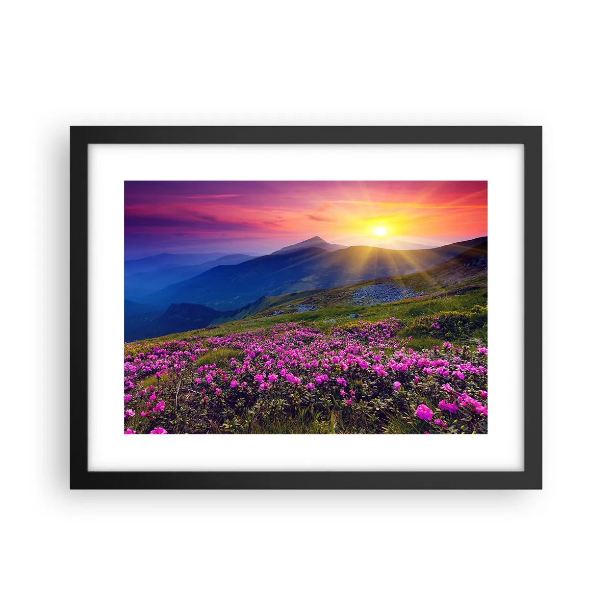 Affiche dans un cadre noir - Poster - … Et autour, ça sent le pin des montagnes et l'odeur de la prairie - 40x30 cm