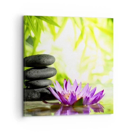 Impression sur toile - Image sur toile - Dans un buisson de bambou - 70x70 cm