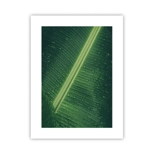 Affiche - Poster - Structure de vert - 30x40 cm