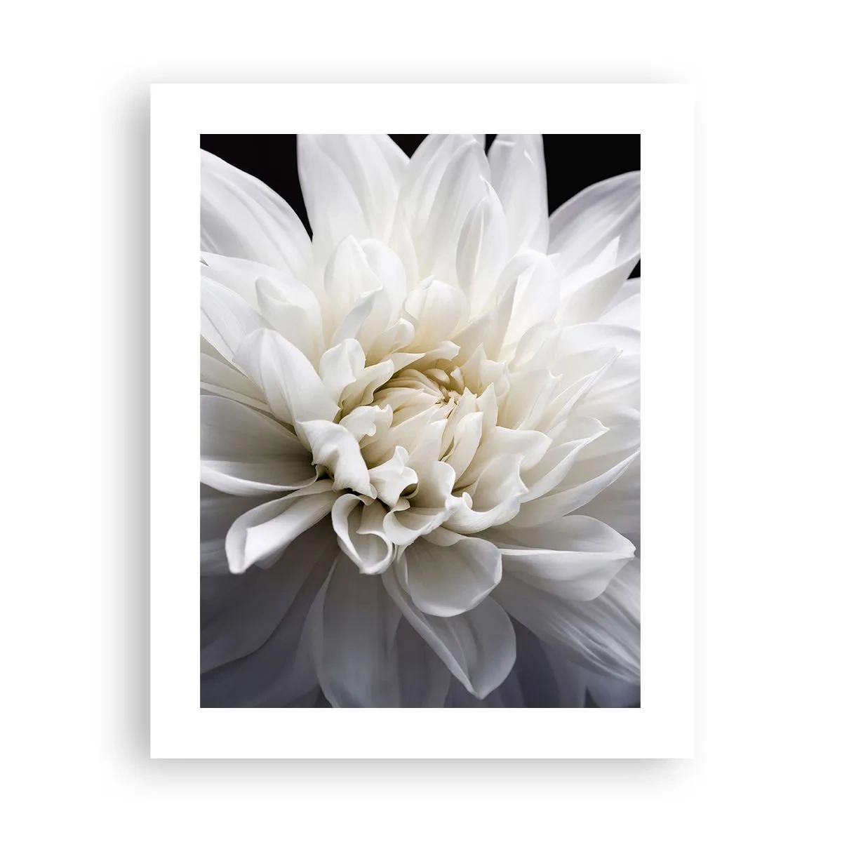 Affiche - Poster - Le matin de la jeune mariéé - 40x50 cm