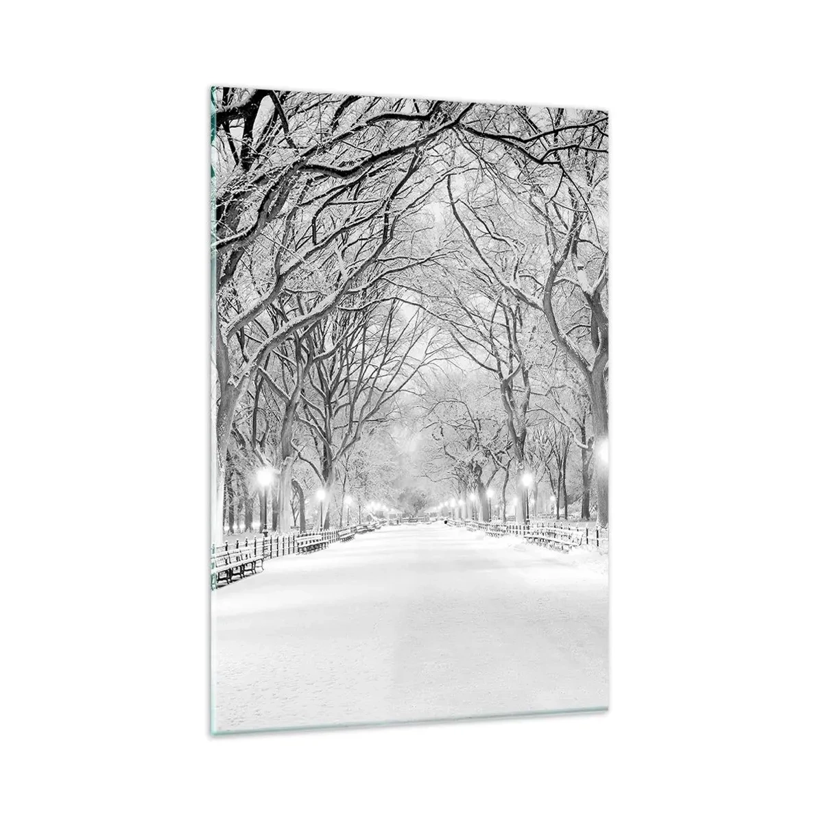 Impression sur verre - Image sur verre - Une allée d'hiver avec des arbres enneigés en monochrome - 80x120cm - Les quatres saisons – l’hiver - Décoration murale moderne pour le salon et la chambre ARTTOR