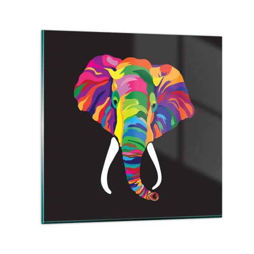 Impression sur verre - Image sur verre - L'éléphant qui aimait se baigner dans un arc-en-ciel - 50x50 cm