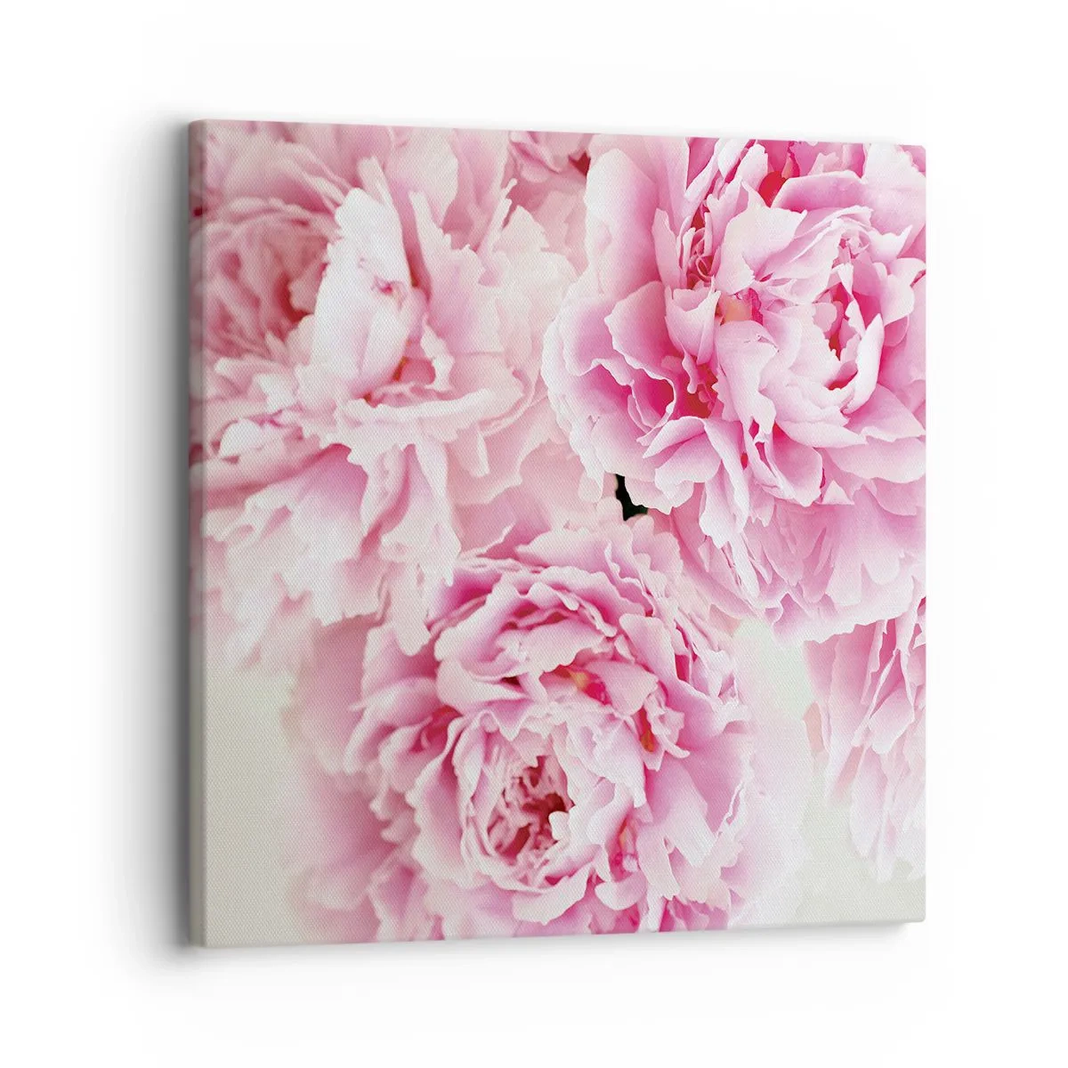 Impression sur toile - Image sur toile - En glamour rose - 30x30 cm