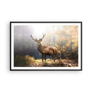 Affiche dans un cadre noir - Poster - Toute sa majesté - 91x61 cm