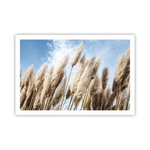 Affiche - Poster - Caresse ensoleillée et venteuse - 91x61 cm