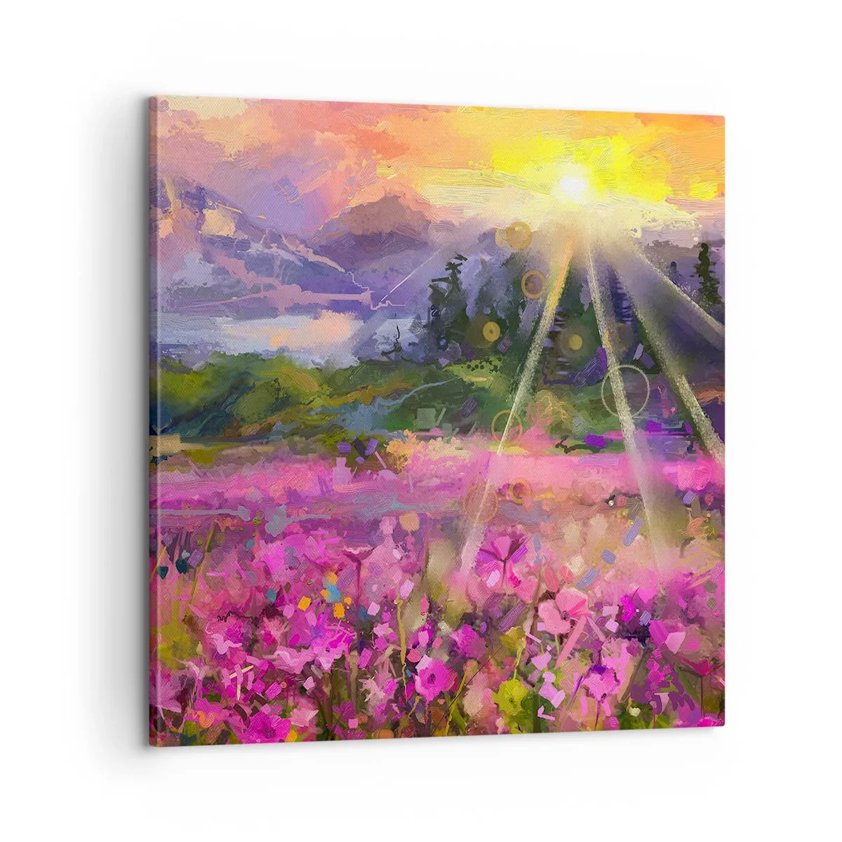 Impression sur toile - Image sur toile - Dans la vallée à l'abri du soleil - 60x60 cm